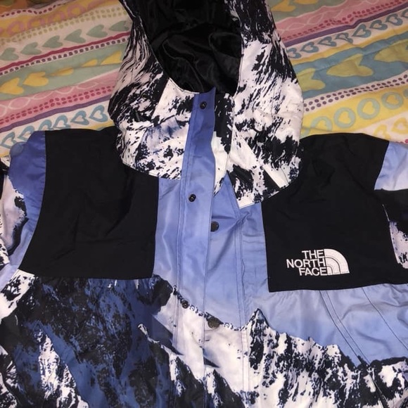 Supreme TNF Mountain Parka